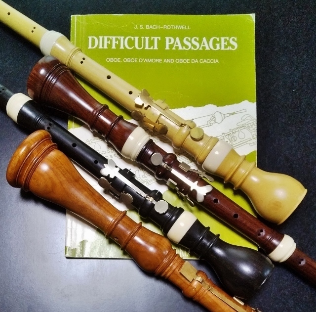 バッハのカンタータ Johann Sebastian Bach, Cantata, BWV 186a, Ärgre dich, o